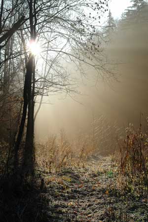 Herbst von Frau Lösch