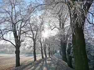 Winterbild von Frau Gerber