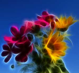 "Sommerblumen" von Matthias Schlönvogt