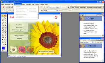 Das Programmfenster von PSE 2 - großes Bild bei Klick