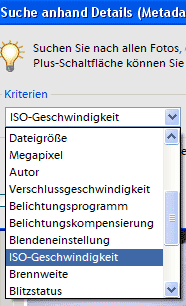 Die Suchoptionen nach Metadaten