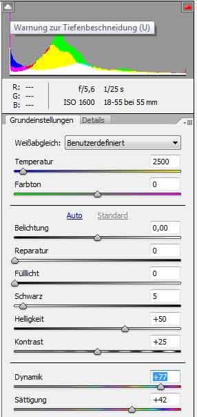 Der neue Einstellungsdialog im RAW-Konverter